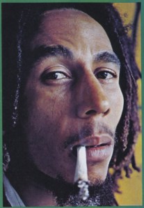 22_020411marley_76_1