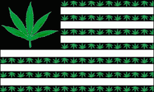 marijuana-leaf-usa_m