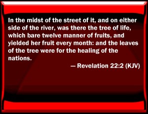 KJV_Revelation_22-2