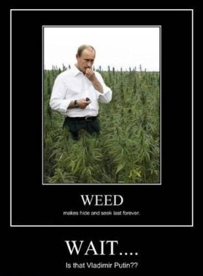 weed-and-vladimir-putin