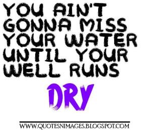 you-aint-gonna-miss-your-water-until-your-well-runs-dry