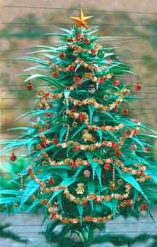 WAMM Christmas Tree!