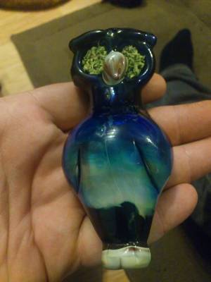 tumblr_mgw63bMPty1qc17seo1_500