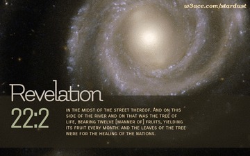 22-2-360x225-hs-2008-16-bw-full_tif