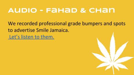 Smile Jamaica Campaign Presentation (6)