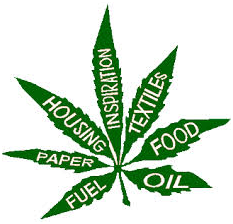 ECONOMIC_AND_ENVIRONMENTAL_BENEFITS_OF_MARIJUANA