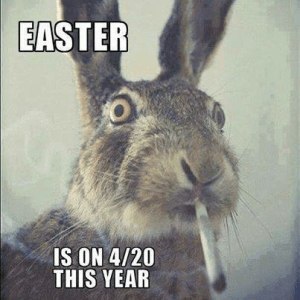 tumblr_n3rz39cXdj1smbf1ao1_500