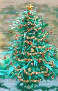 WAMM Christmas Tree!